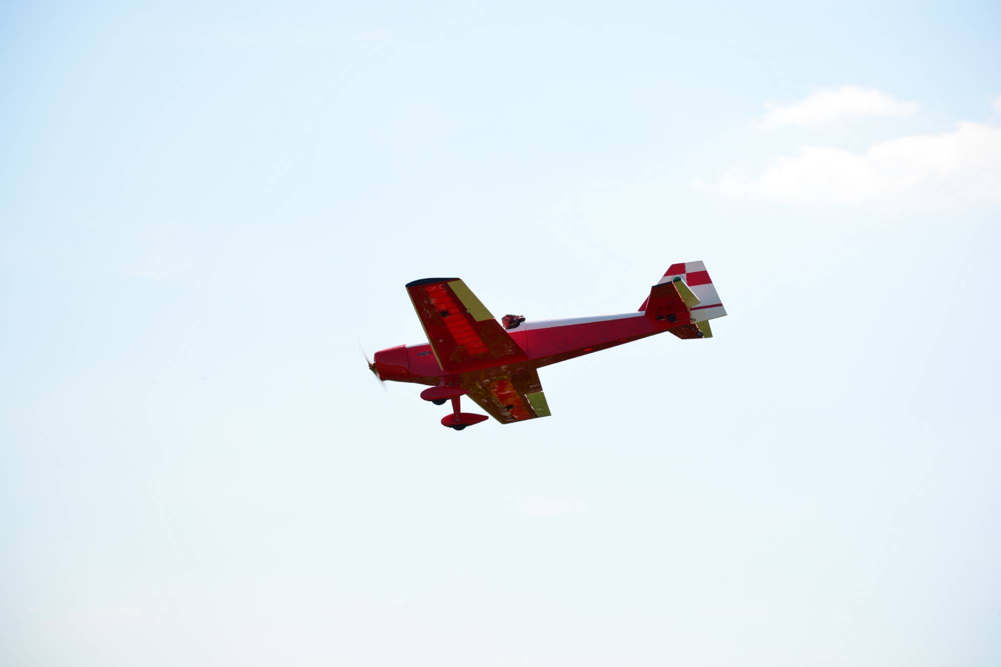 k DSC 5336